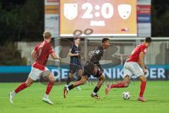 3. Liga; TSV Havelse - FC Ingolstadt 04; Marcel Costly (22, FCI)