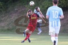 Kreisliga - Saison 2025/26- SV Kasing - FC Sandersdorf - Martin Oblinger rot Kasing - Benedikt Trezka blau Sandersdorf - Foto: Meyer Jürgen