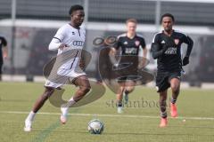 Bayernliga Nord - Saison 2024/25 - FC Ingolstadt 04 II - TSV Kornburg - Jason Osei Tutu (Nr.11 - FCI U21) - XXXXX - Foto: Meyer Jürgen