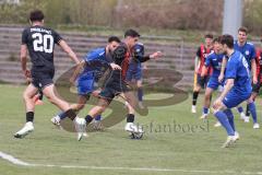 Bayernliga Nord - Saison 2024/25 - FC Ingolstadt 04 II - Würzburger FV 04 - Gül Emre (Nr.10 - FCI U21) - Krautschneider Steffen blau Würzburg rechts - Foto: Meyer Jürgen