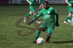 Bezirksliga - Saison 2022/2023 - SV Manching  - FC Aschheim - Ousseynou Tamba grün Manching - Foto: Meyer Jürgen