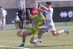 U17 DFB-Nachwuchsliga - Saison 2024/25 - FC Ingolstadt 04 - TSG Hoffenheim - Timo Hengmith weiss FCI - Tom Fiederer gelb Hoffenheim - Foto: Meyer Jürgen