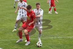 Kreisliga - Saison 2024/25- TSV Kösching - TSV Hohenwart - Mark Kocima rot Kösching - Andreas Widhopf weiss Hohenwart - Foto: Meyer Jürgen
