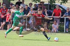 Vorbereitungsspiel - Testspiel - FC Ingolstadt 04 - VFB Eichstätt  - Franke Dominik (#3 FCI) - Foto: Jürgen Meyer