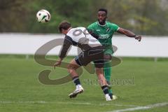 Bezirksliga - Saison 2025/26 - TSV Ober./Unterhaunstadt - FC Gerolfing - Amadeus Taubert grau Ober./Unterhaunstadt - Dissan Mutyaba grün Gerolfing - Foto: Meyer Jürgen