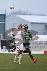 3. Liga; Testspiel, FC Ingolstadt 04 - SpVgg Greuther Fürth; Justin Butler (31, FCI)