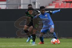 2.BL; Testspiel; FC Ingolstadt 04 - SpVgg Greuther Fürth; Zweikampf Kampf um den Ball Hans Nunoo Sarpei (18 FCI) Dudziak Jeremy (28 Fürth)