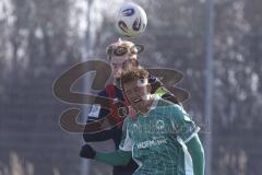 *** A-Junioren Bundesliga  - Saison 2025/26 - FC Ingolstadt 04 - SpVgg Greuther Fürth - Michelbach Kilian schwarz FCI - Mann Silas grün Fürth  - Foto: Meyer Jürgen