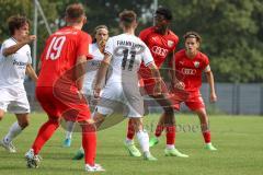 A-Junioren - Bundesliga Süd Fc Ingolstadt 04 - Eintracht Frabkfurt - Udebuluzor Michael rot FCI -  Foto: Meyer Jürgen