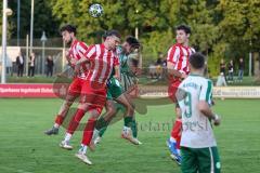 Landesliga - Saison 2025/26 - SV Manching - TSV Dachau  - Antonio Jurleta grün MAnching - Berkant Barin links rot Dachau - Ruben Milla Nava rot DAchau - Foto: Meyer Jürgen