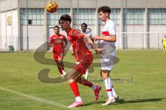 A-Junioren  Bundesliga - FC Ingolstadt 04 - VFB Stuttgart -  Saison 2022/2023- Peric Leon rot FCI - Foto: Meyer Jürgen