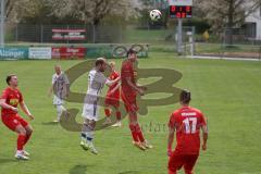 Kreisliga - Saison 2024/25- TSV Kösching - TSV Hohenwart - Sebastian Herker weiss Hohenwart - Johannes Tannwitz rot Kösching - Foto: Meyer Jürgen