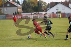 B-Junioren - Bayernliga -  Fc Ingolstadt 04 - SpVgg Greuther Fürth II -  Foto: Meyer Jürgen