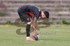 Bayernliga Nord - Saison 2024/25 - FC Ingolstadt 04 II - Würzburger FV 04 - Jason Osei Tutu (Nr.11 - FCI U21)- wird gefoult im Strafraum und es gibt Elfmeter - jubel - Davide Sekulovic (Nr.7 - FCI U21) legt sich den Ball zurecht - Foto: Meyer Jürgen