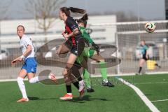 2. Bundesliga Frauen - Saison 2024/25 - FC Ingolstadt 04 Frauen - SC Sand - Stefanie Reischmann (Nr.24 - FCI Frauen) - Baum Jule Torwart Sand - Foto: Meyer Jürgen