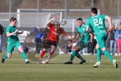 Bayernliga Nord - Saison 2023/24 - FC Ingolstadt 04 II - TSV Neudrossenfeld - Benedigt Schwearzensteiner (Nr.4 - FCI) - XXXXX - Foto: Meyer Jürgen