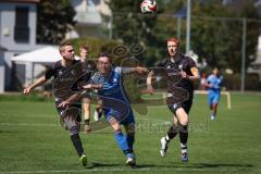 Kreisliga - Saison 2026/27 - SV Hundszell - SV Menning - Moritz Faigle re schwarz Menning  - Lukas Conradi blau Hundszell - Hermann Zagler schwarz Menning  links Foto: Meyer Jürgen