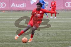 A-Junioren - Bundesliga Süd FC Ingolstadt 04 - TSG 1899 Hoffenheim - Michael Udebuluzor (Nr.9 - FCI A-Junioren) -  Foto: Meyer Jürgen