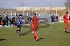 A - Junioren Bundesliga Süd/Südwest -  Saison 2021/2022 - FC Ingolstadt 04 - 1. FC Saarbrücken - Foto: Meyer Jürgen