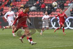 3. Liga - Saison 2025/26 - FC Ingolstadt 04 - VFB Stuttgart II - Marcel Costly (Nr.22 - FCI) - XXXXX - Foto: Meyer Jürgen