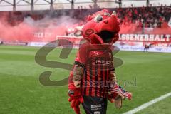 3. Liga; FC Ingolstadt 04 - 
VfB Oldenburg; Fan Fankurve Banner Fahnen Spruchband Schanzi Maskottchen