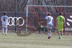 U17 DFB-Nachwuchsliga - Saison 2024/25 - FC Ingolstadt 04 - TSG Hoffenheim - Der 3:2 Führungstreffer per Elfmeter durch Maximilian Wagner weiss FCI - jubel - Darijo Ebert Torwart Hoffenheim - XXXXX - Foto: Meyer Jürgen