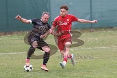Kreisklasse - Saison 2024/25- Türkisch SV Ingolstadt - FC Gelbelsee-  - Enis Kuqanaj rot Türkisch  - Manfred Schmidt schwarz Gelbelsee - Foto: Meyer Jürgen