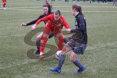 Bayernliga - Frauen - Saison 2022/2023 - FC Ingolstadt 04 II - TSV Schwaben Augsburg - Julia Steurer rot FCI - Foto: Meyer Jürgen