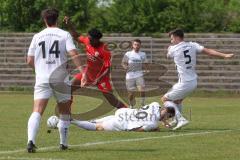 Bayernliga Nord - Saison 2023/24 - FC Ingolstadt 04 II - TSV Abtswind - Michael Udebuluzor (Nr.11 - FCI) - Feidel Fabio weiss #20 Abtswind - Foto: Meyer Jürgen