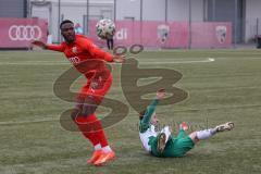 Bayernliga Süd - Saison 2022/2023 - FC Ingolstadt 04 - SV Schalding Heining - Donald Nduka (Nr.4 - FCI II) - Drofa Patrick grün Schalding - Foto: Meyer Jürgen