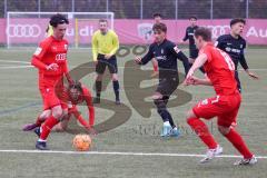 A-Junioren - Bundesliga Süd Fc Ingolstadt 04 - SC Freiburg -  Sekulovic Davide (Nr.7 - FC Ingolstadt A-Jugend) - Causevic Benjamin (Nr.10 - FC Ingolstadt A-Jugend) am Boden - Foto: Meyer Jürgen