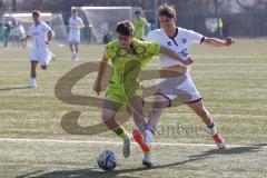 U17 DFB-Nachwuchsliga - Saison 2024/25 - FC Ingolstadt 04 - TSG Hoffenheim - Alexander Meyer weiss FCI - Maximilian Theuer gelb Hoffenheim - Foto: Meyer Jürgen