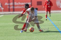 A-Junioren Bundesliga  - Saison 2023/24 - A-Junioren - FC Ingolstadt 04 - 1.FC Heidenheim - Jason Osei Tutu (Nr.24 - FCI) - Kopf Joshua weiss Heidenheim - Foto: Meyer Jürgen