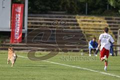 Freundschaftsspiel - Saison 2025/26 - FC Ingolstadt 04 II - Delay Sports - XXXXX - XXXXX - Foto: Meyer Jürgen