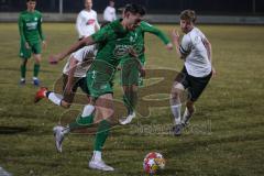 Landesliga - Saison 2024/25 - SV Manching - TSV Wertingen - Peric Leon (Nr.20 - SV Manching) - Dominik Schröder (Nr.14 - SV Manching) - Maximilian Beham weiss Wertingen - Foto: Meyer Jürgen