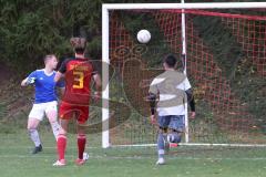 2023_11_5 - SV Kasing - TV Münchsmünster - Kreisliga - Saison 2023/24 -  Der 1:1 Ausgleichstreffer durch Tobias Schmid grau Münchsmünster nicht im Foto - jubel - Patrick Lücking Torwart Kasing - Foto: Meyer Jürgen