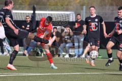 Bayernliga Süd - Saison 2022/2023 - FC Ingolstadt 04 -  TSV 1882 Landsberg - Senger Michael (Nr.21 - Fc Ingolstadt 04 II) - Foto: Meyer Jürgen