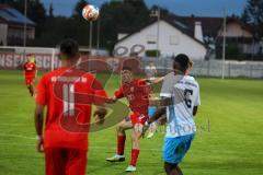 Bayernliga - U17 - Saison 2022/2023 - FC Ingolstadt 04 -  1860 München - Drakulic Ognjen rot FCI - Foto: Meyer Jürgen