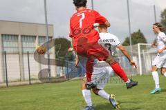 A-Junioren - Bundesliga Süd Fc Ingolstadt 04 - Eintracht Frabkfurt -  Sekulovic Davide #7 rot FCI - Foto: Meyer Jürgen