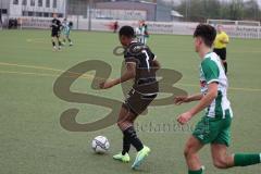 Landesliga Bayern - U17 - B-Junioren - Saison 2022/2023 - FC Ingolstadt 04 II - SV Schalding - Heining  - Foto: Meyer Jürgen