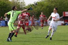 Kreisklasse - Saison 2023/24 - SV Stammham - SV Buxheim-  - Jonas Korn rot Stammham - Nico Duschek weiss Buxheim - Manuel Kern Torwart Stammham - Foto: Meyer Jürgen