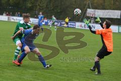 Landesliga 2015/16 - FC Gerolfing - ASV Dachau - Graßl Sebastian #8 grün FC Gerolfing - Bykanov Artem Torwart Dachau - Foto: Jürgen Meyer