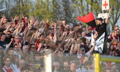 2.Bundesliga - FC Ingolstadt 04 - SV Wehen Wiesbaden - Die Fans