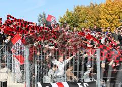 FC Ingolstadt - Hansa Rostock - Die Fans feiern den FC IN