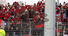 FC Ingolstadt - SC Freiburg - Die Fans