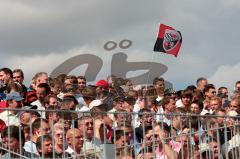 FC Ingolstadt 04 - HSV 1:3 -  DFB Pokal - 09.08.08 - TUJA Stadion - verhaltene FC IN Fans