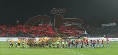 3.Liga - FC Ingolstadt 04 - Dynamo Dresden - FC Fans Choreo