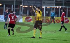 3.Liga - FC Ingolstadt 04 - Dynamo Dresden - Schlusspfiff