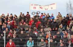 3.Liga - FC Ingolstadt 04 - SV Wehen Wiesbaden 5:1 - IG Metall Fans