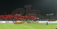 3.Liga - FC Ingolstadt 04 - Dynamo Dresden - FC Fans Choreo